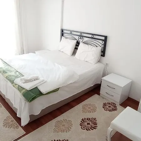 Merkez Daire شقة كاس
